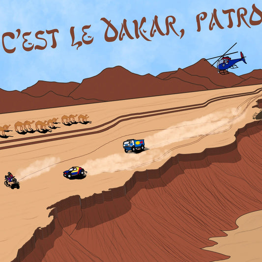 Lámina Rally Dakar - Montdebó